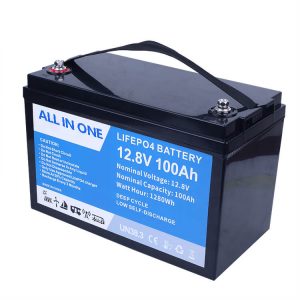 Batteries au lithium-ion 12 V 12 V 100 Ah batterie LiFePO4