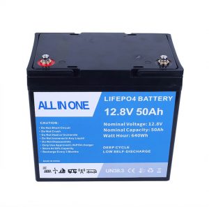 Batterie lithium-ion rechargeable 12,8 V 50 Ah Batterie lithium-ion Lifepo4