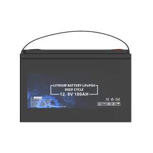 Batterie LiFePO4 12V 100Ah longue durée intégrée au BMS