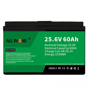 Batterie LFP de sécurité/longue durée de 25,6 V 60 Ah pour camping-car/caravane/UPS/voiturette de golf 24 V 60 Ah
