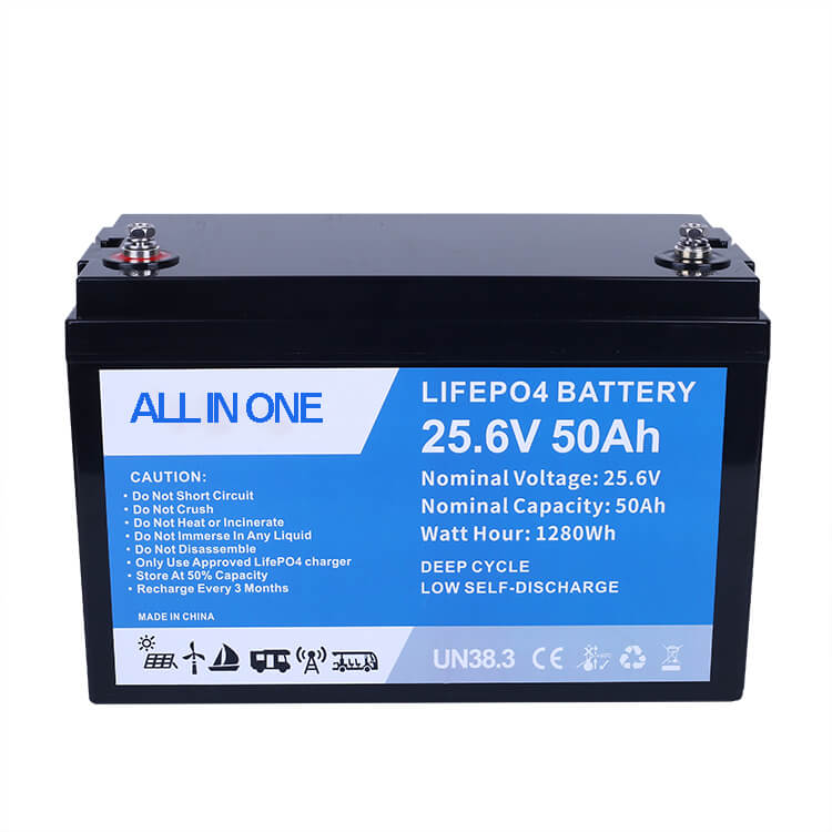 Batterie lithiumion rechargeable 25.6V 100Ah LithiumIon Lifepo4