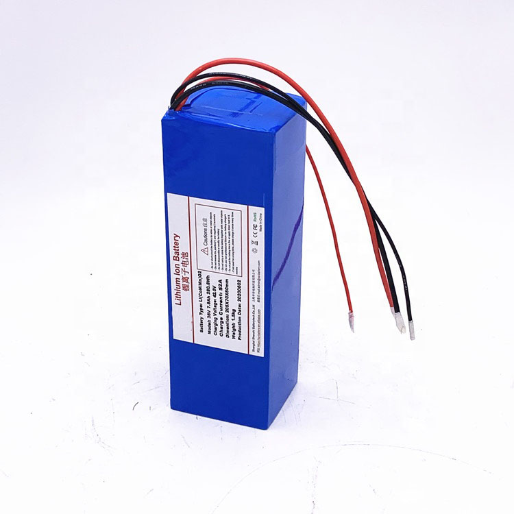 Batterie Lithium 36V 9AH Pour Vélo Électrique Zündapp Z101 - Rechargeable Et Sécurisée Avec BMS