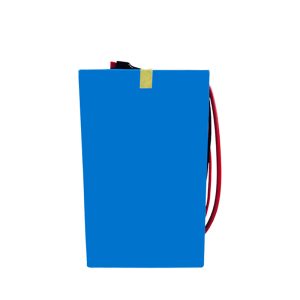 Batterie lithium-ion haute densité énergétique 48 V 30 Ah pour scooter électrique et moto