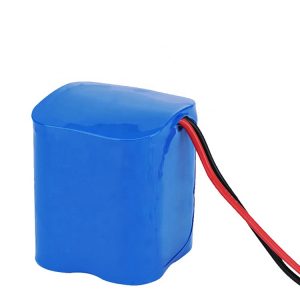 Batterie rechargeable LiFePO4 32650 6.4V 10AH