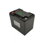 Basse température 48V 200AH avec fonction auto-chauffante